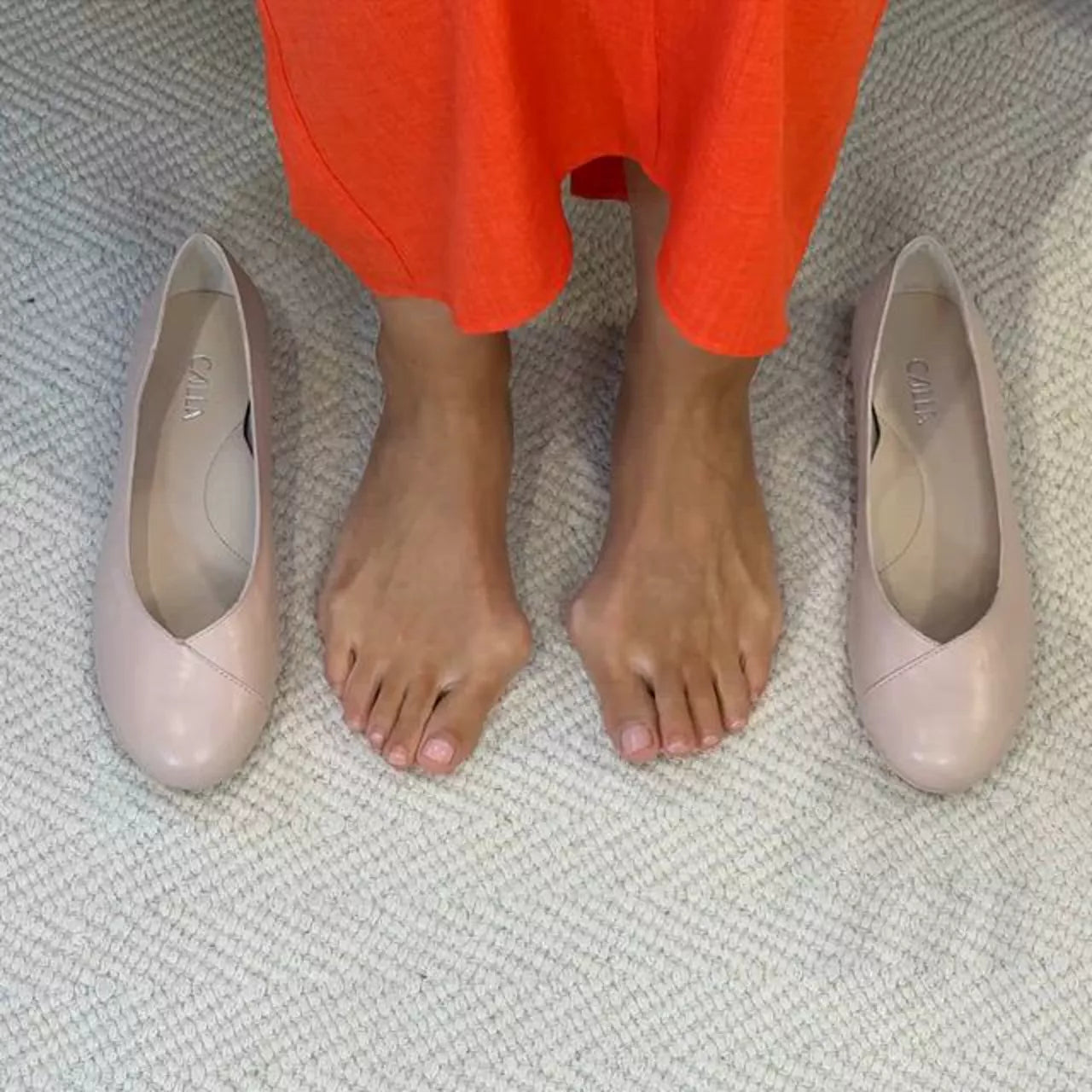 videowise-widget-667569275317ee0029efbbcc-9409369374963