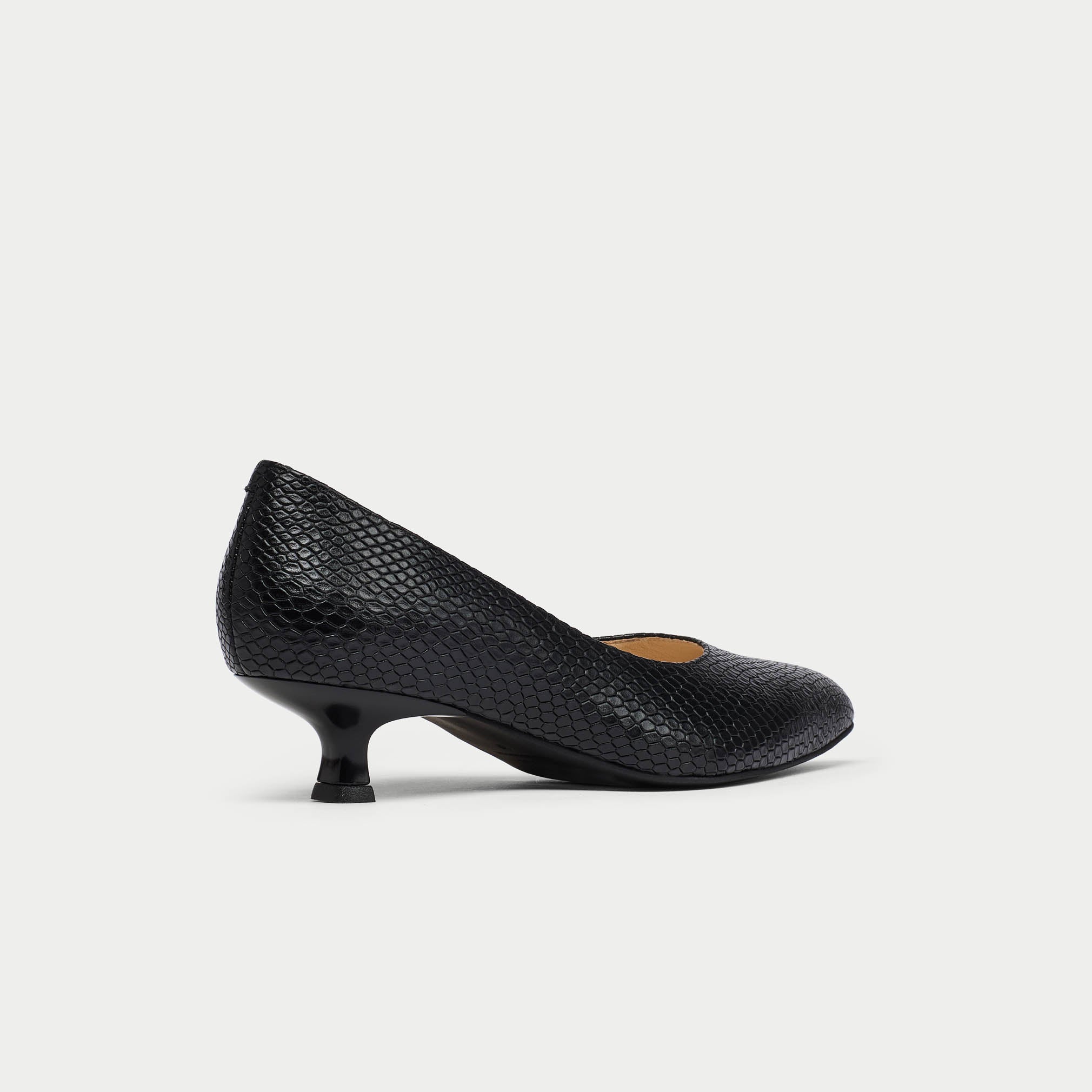 Black low-heeled shoe on a white background